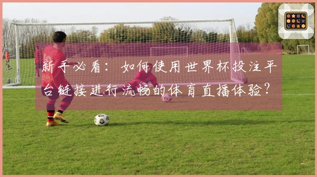 新手必看：如何使用世界杯投注平台链接进行流畅的体育直播体验？