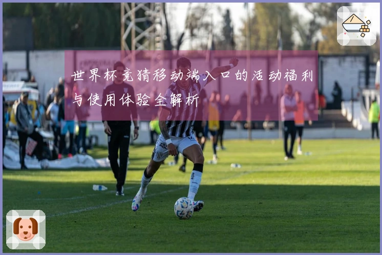 世界杯竞猜移动端入口的活动福利与使用体验全解析