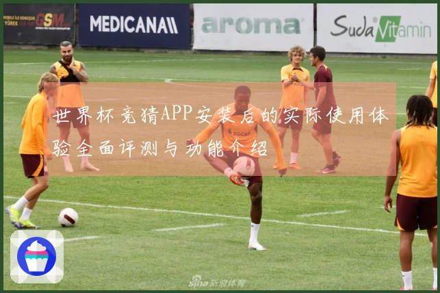 世界杯竞猜APP安装后的实际使用体验全面评测与功能介绍