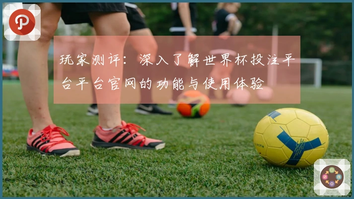 玩家测评：深入了解世界杯投注平台平台官网的功能与使用体验