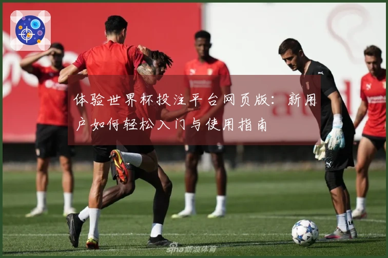 体验世界杯投注平台网页版：新用户如何轻松入门与使用指南