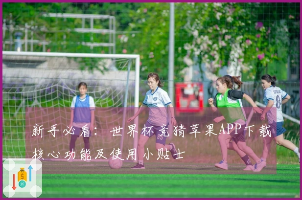 新手必看：世界杯竞猜苹果APP下载核心功能及使用小贴士