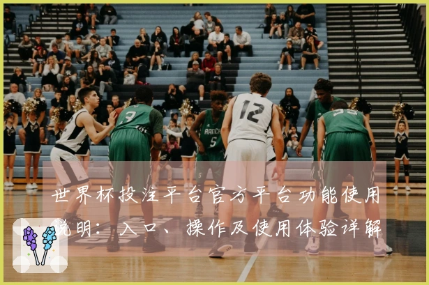 世界杯投注平台官方平台功能使用说明：入口、操作及使用体验详解