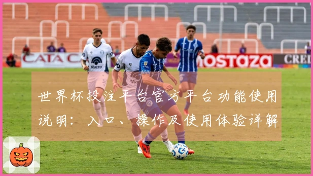 世界杯投注平台官方平台功能使用说明：入口、操作及使用体验详解