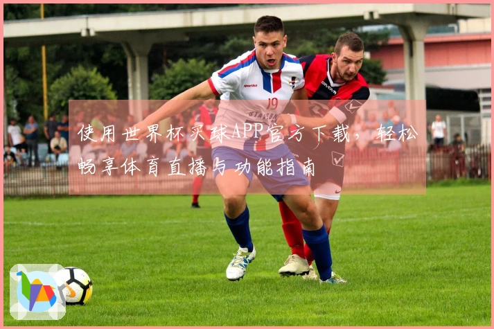 使用世界杯买球APP官方下载，轻松畅享体育直播与功能指南