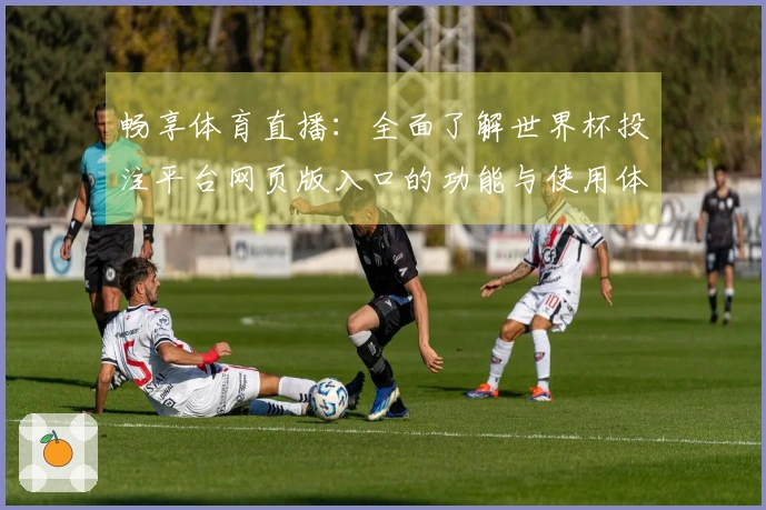 畅享体育直播：全面了解世界杯投注平台网页版入口的功能与使用体验